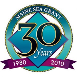 30th anniversary logo