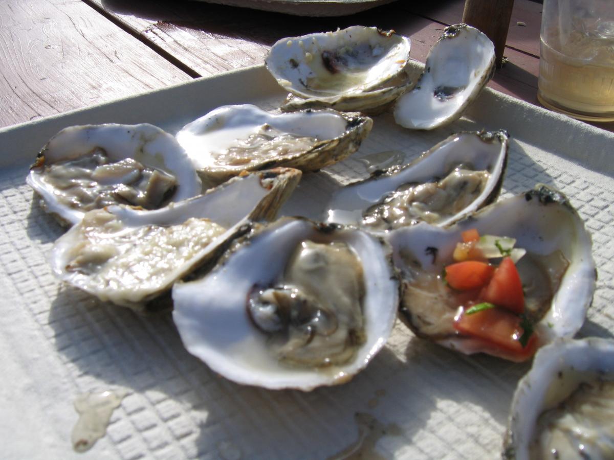 Shucked oysters on a cardboard tray