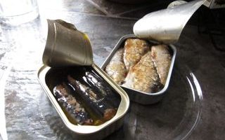sardine photo