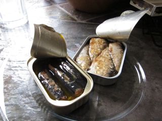 sardine photo