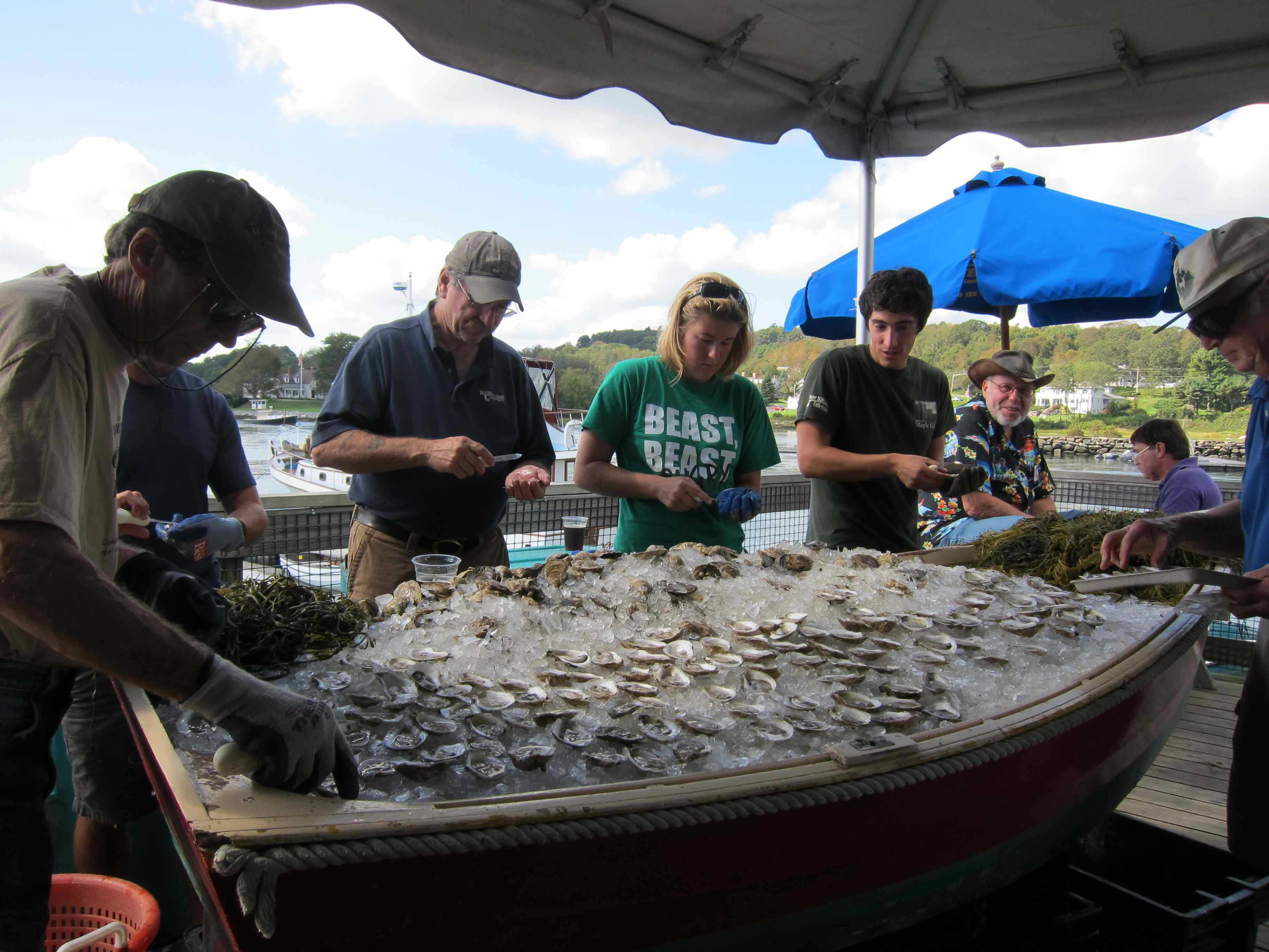 Four shuckers placing oysters on an ice-filled display boat at the festival