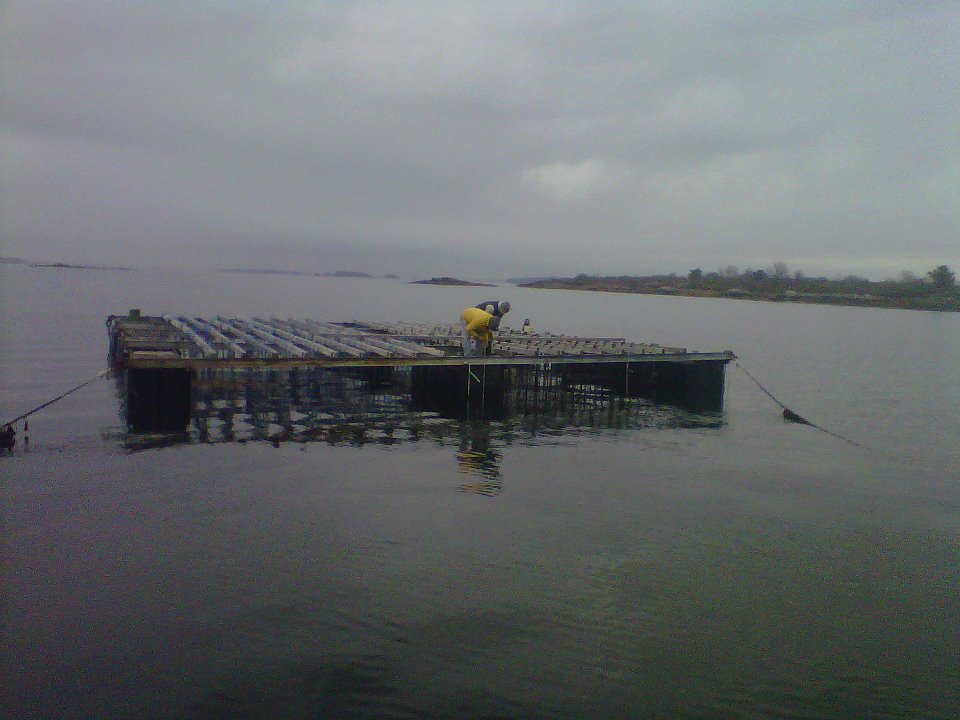 two men working on top of a mussel raft on an overcast day