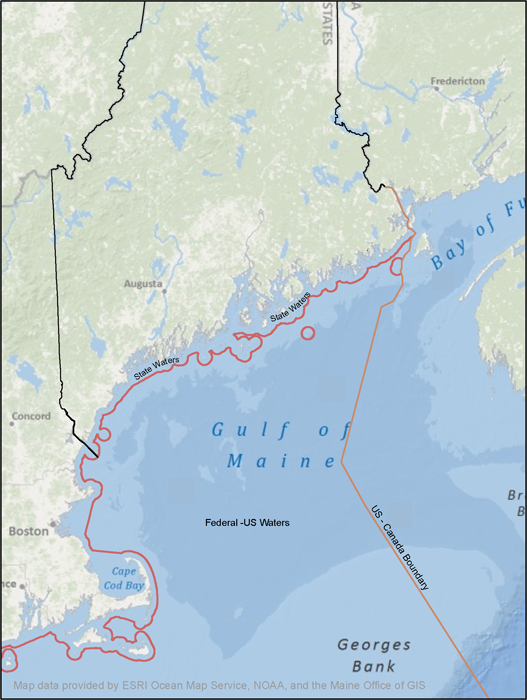 Gulf of Maine