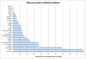 Mercury in Maine Seafood