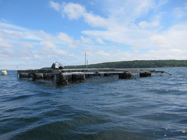 Aquaculture Methods - Maine Sea Grant - University of Maine