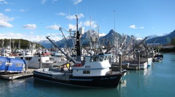 Fishing vessels in Valdez harbor