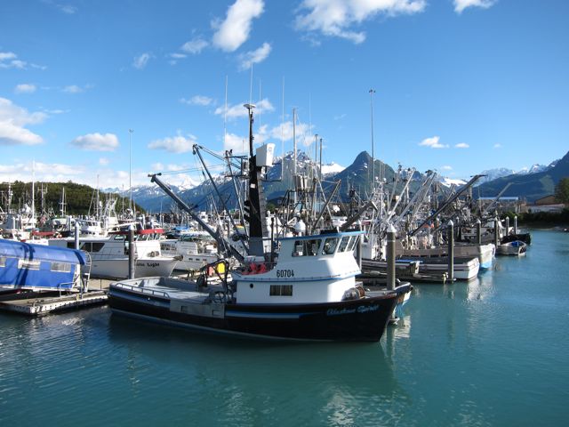 Fishing vessels in Valdez harbor