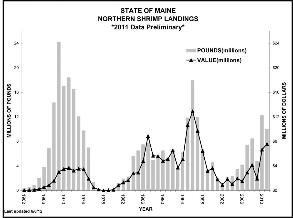 graph of shrimp landings in Maine