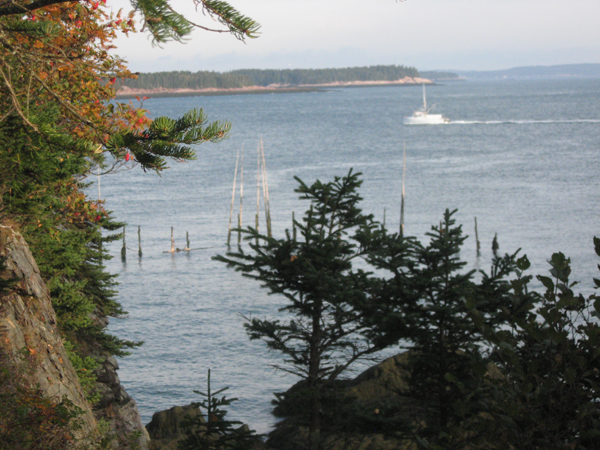 Weir near Campobello