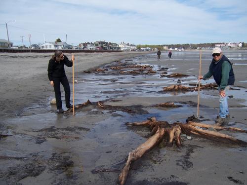 Two men on a beach next to a tree stump