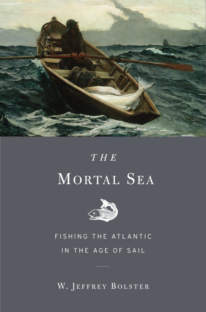 cover of THe Mortal Sea book