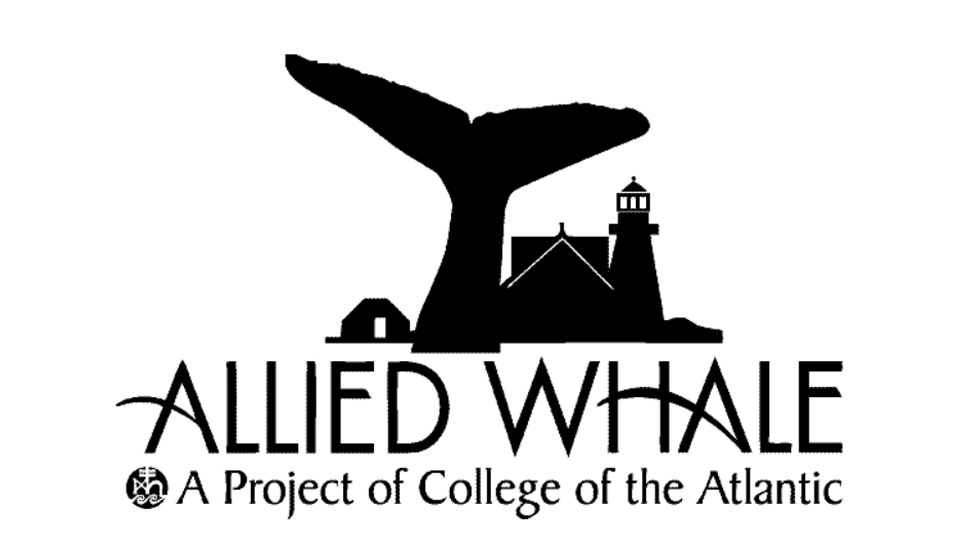 Black and white Allied Whale logo