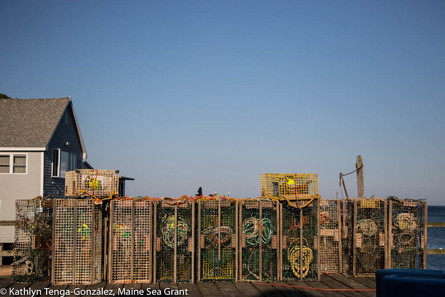 lobster traps beside a house under a blue sky