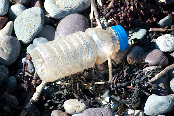 an empty discarded plastic bottle