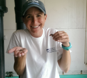 a person holding small creatures in her palm