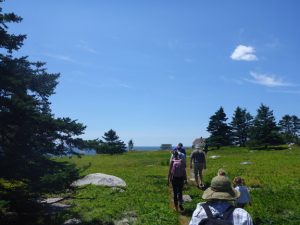 walking group