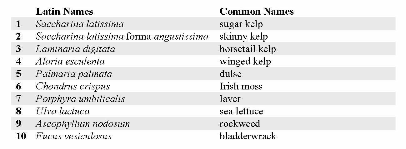 Table of latin names for seaweed