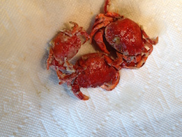 red cooked crab on white napkin