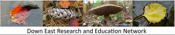 Downeast Research and Education Network logo