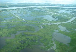 Aerial view of green wetlands and water