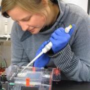 Skylar preparing a PCR gel