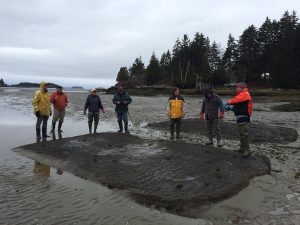 Chris Warner has created the first commercial-scale farm for softshell clams in Maine