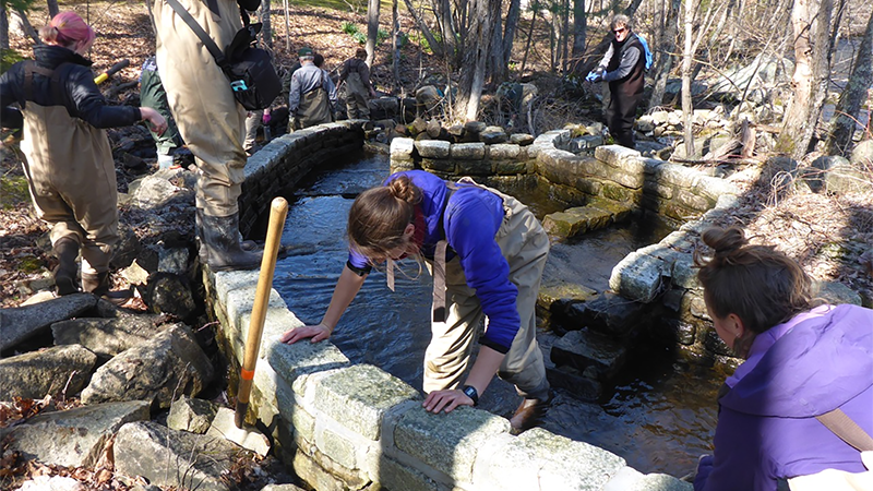 Several people working on a fish ladder