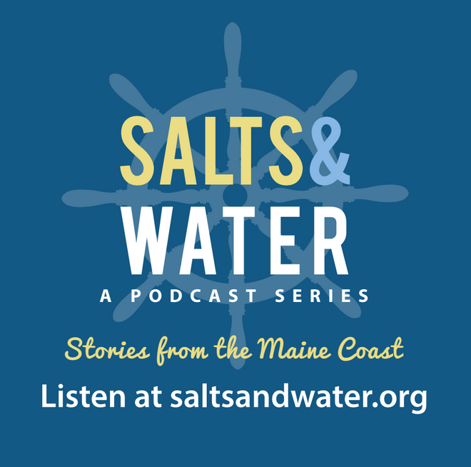 Salts and Water logo