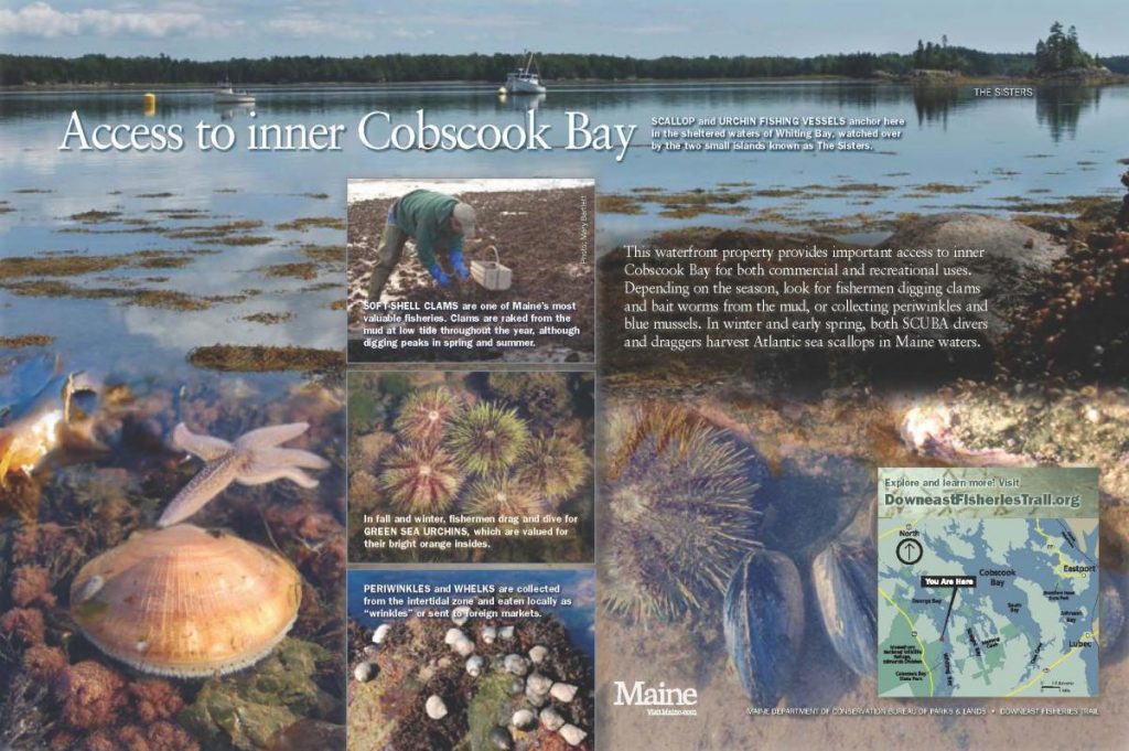 Cobscook Bay panel