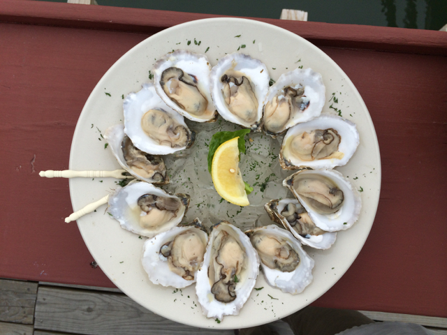 a plate of oysters arranged in a circle