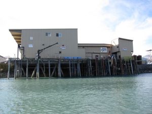 salmon processing plant in valdez harbor