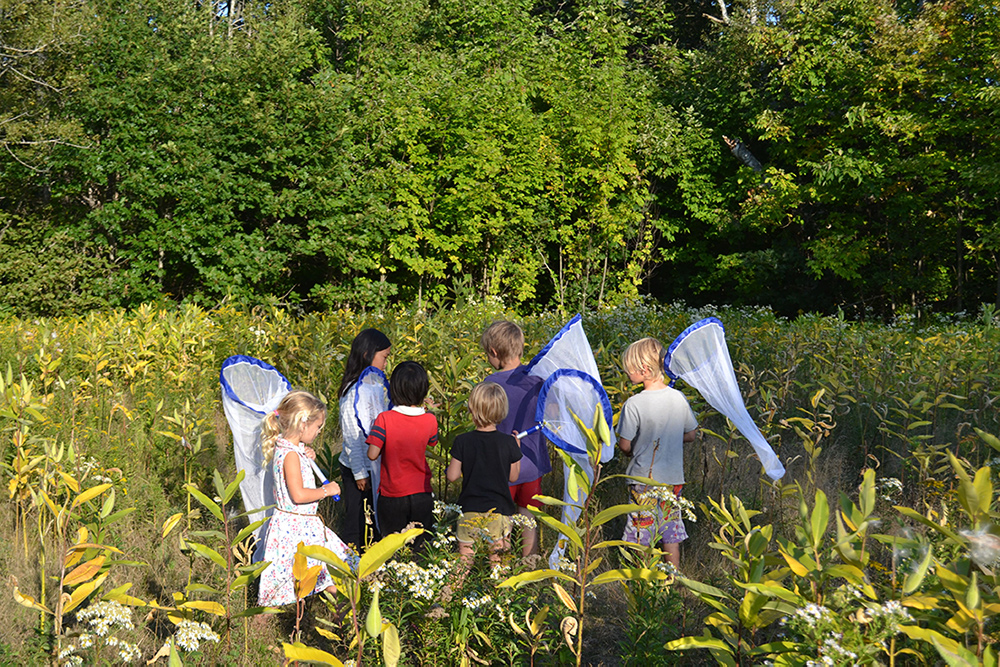 a group of children holding butterfly nets