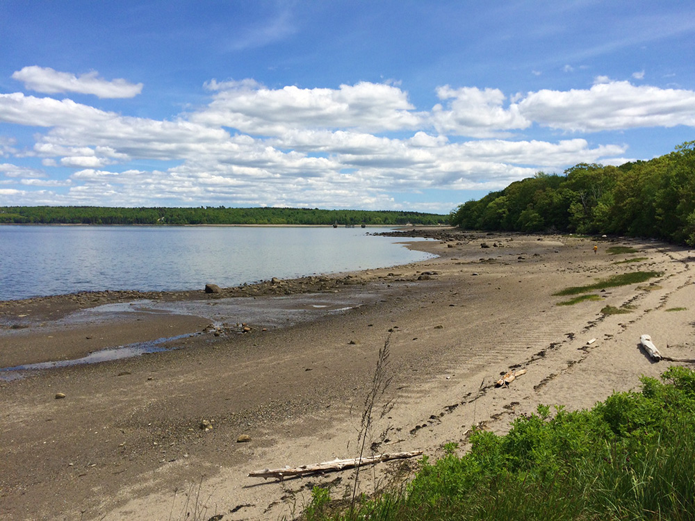 a view of the curving beach under blue sky with fairweather clouds