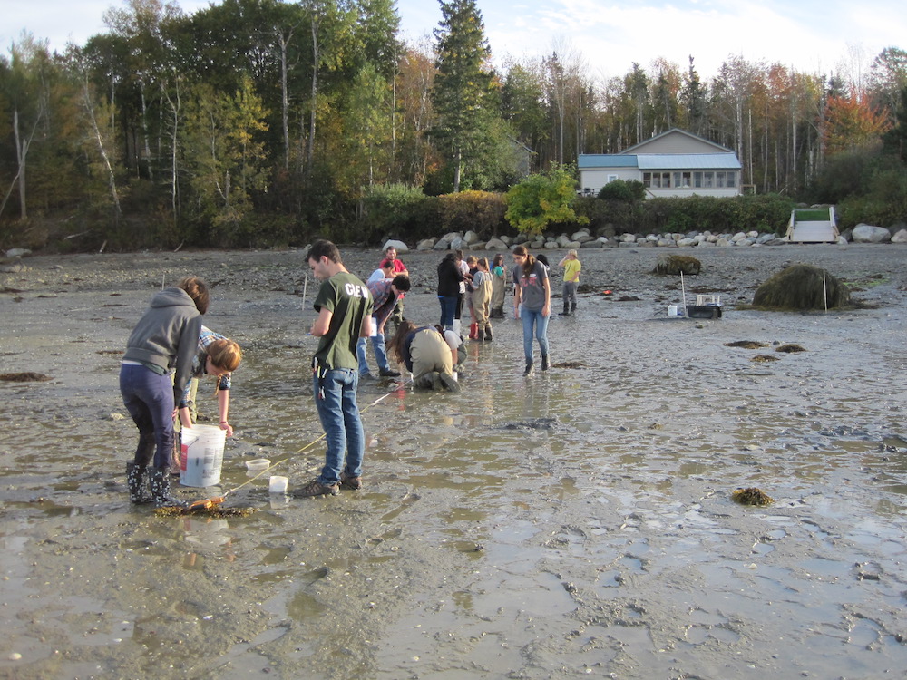 several people standing on a clam flat in front of a home