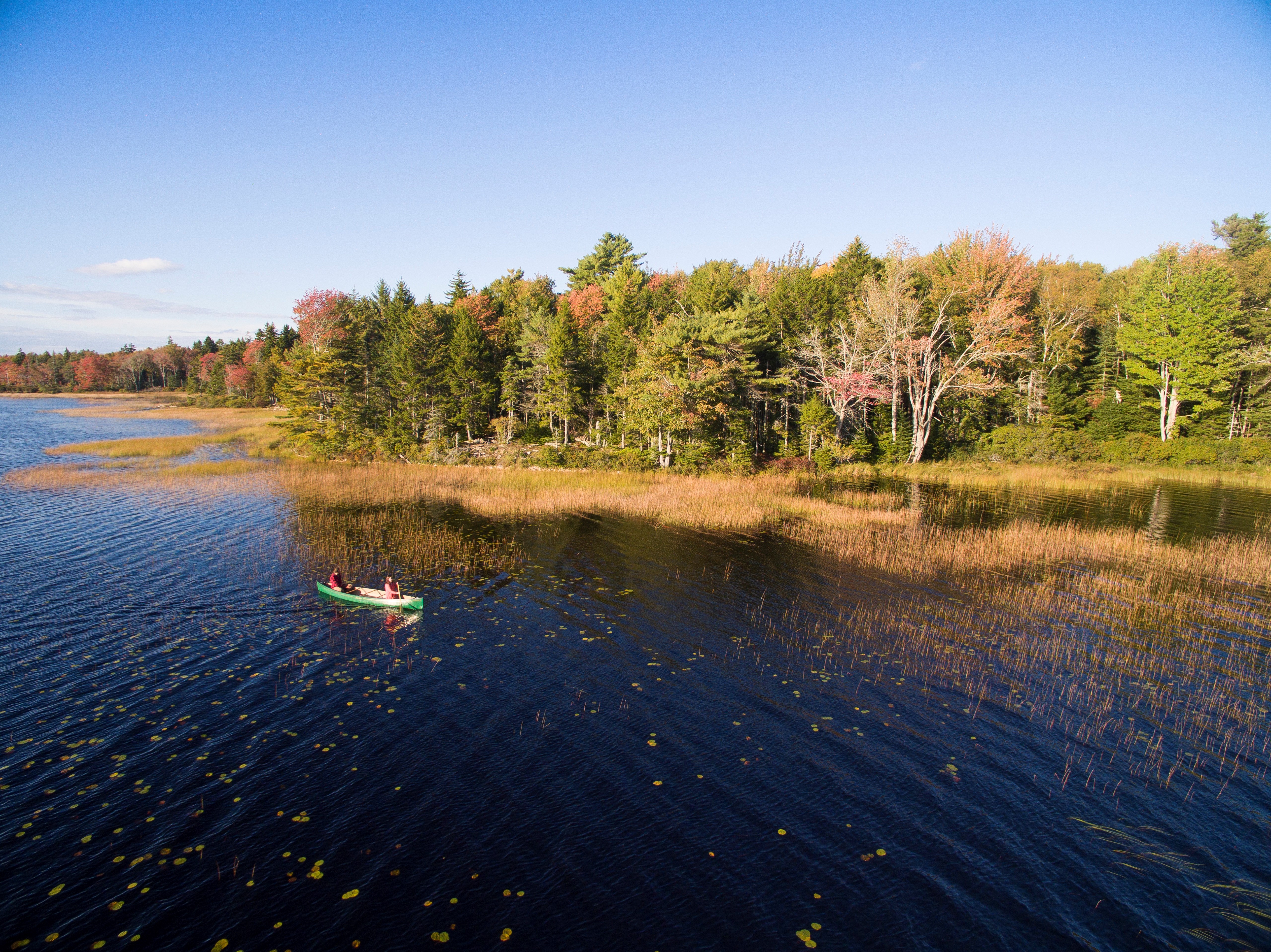 two paddlers in a canoe at the edge of a pond with trees in the background