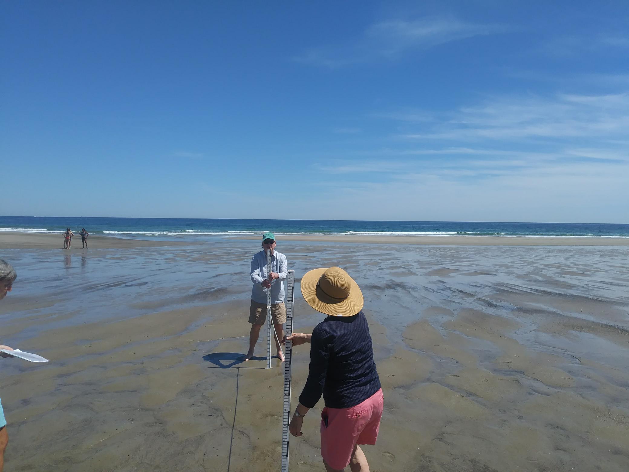 volunteers on the beach