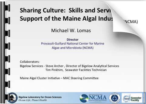 Cover slide for Sharing Culture presentation
