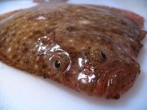 flounder on a cutting board