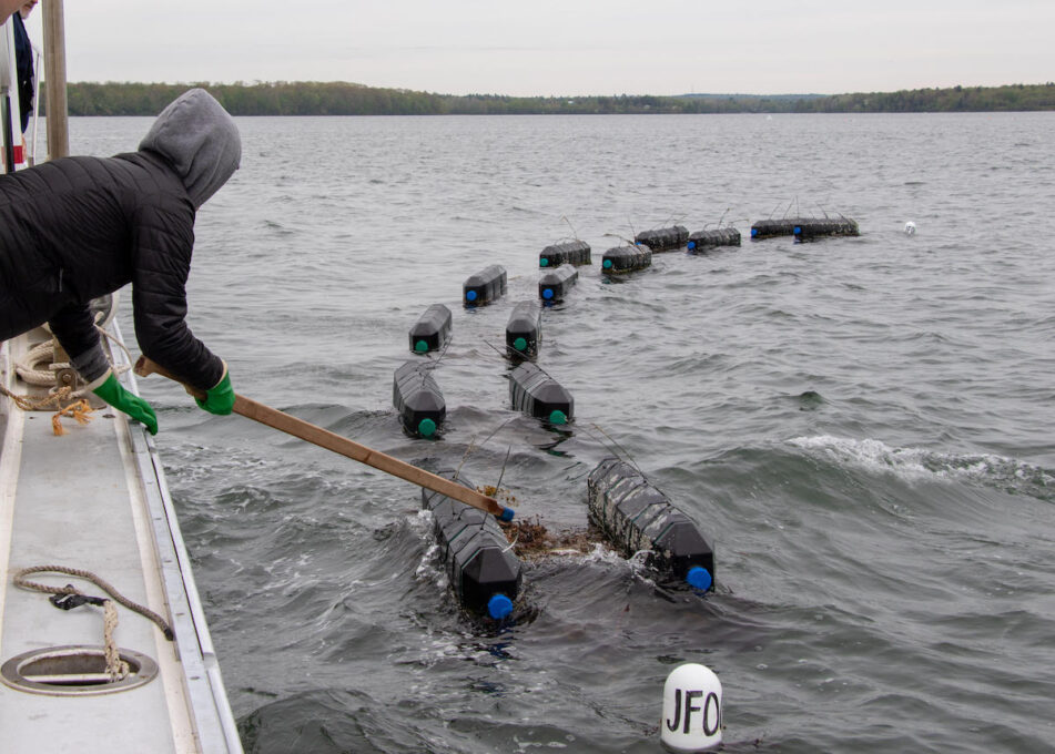 Noaa Sea Grant National Aquaculture Initiative Awards 16m To Advance Sustainable Aquaculture 3256