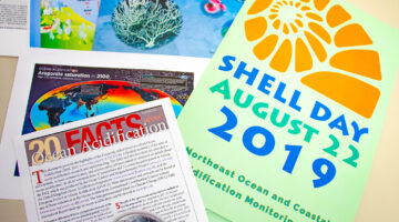 a pile of leaflets for shell day