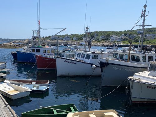 Lobster boats in a harbor tied to the dock
