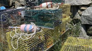 stacks of lobster traps and buoys
