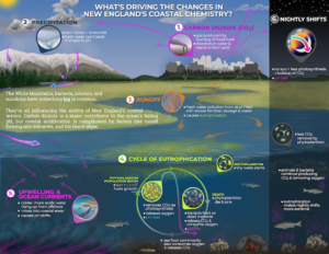 thumbnail image of climate change driving phenomena