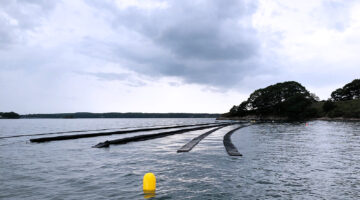 Three rows of oyster cages at Butterfield Shellfish Company's oyster farm in Casco Bay with land and trees in the background.