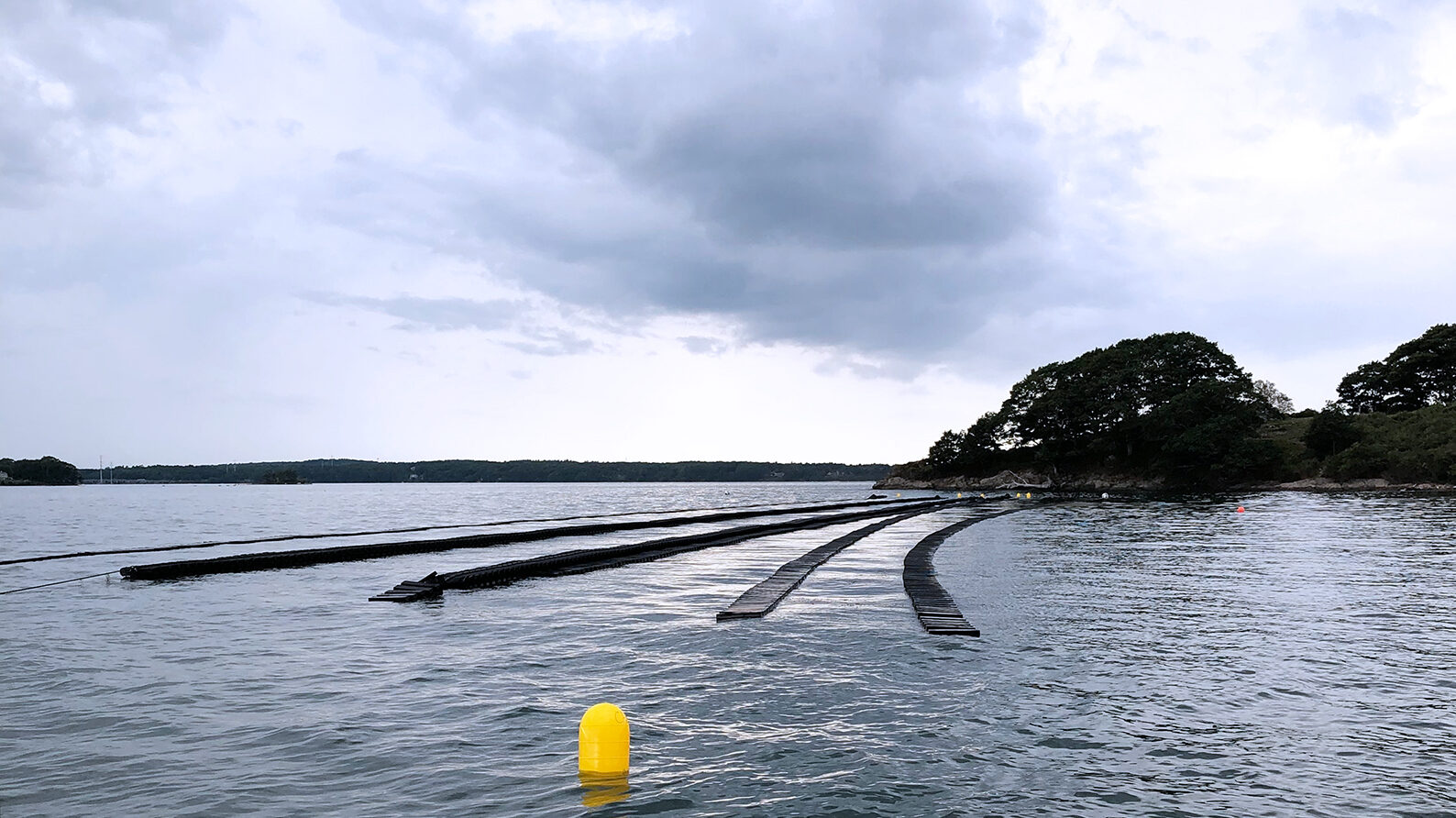 Three rows of oyster cages at Butterfield Shellfish Company's oyster farm in Casco Bay with land and trees in the background.