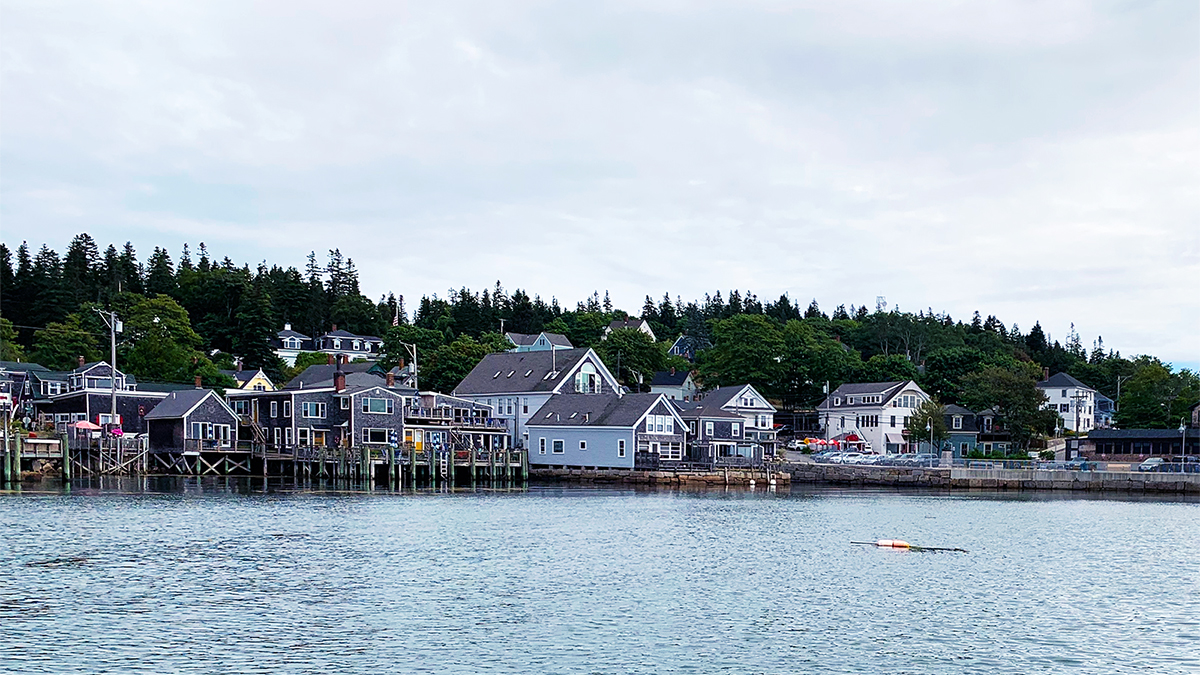 view of a town on shore taken from the water, with docks and buildings under an overcast sky