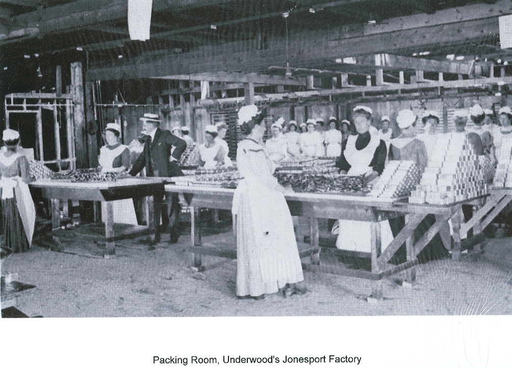 black and white photo of a sardine packing room, workers at long tables