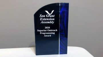 blue award on table reading "sea grant extension assembly 2020 superior outreach programming award"