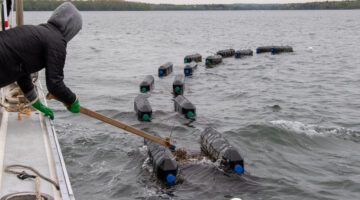a person tending aquaculture equipment on the water