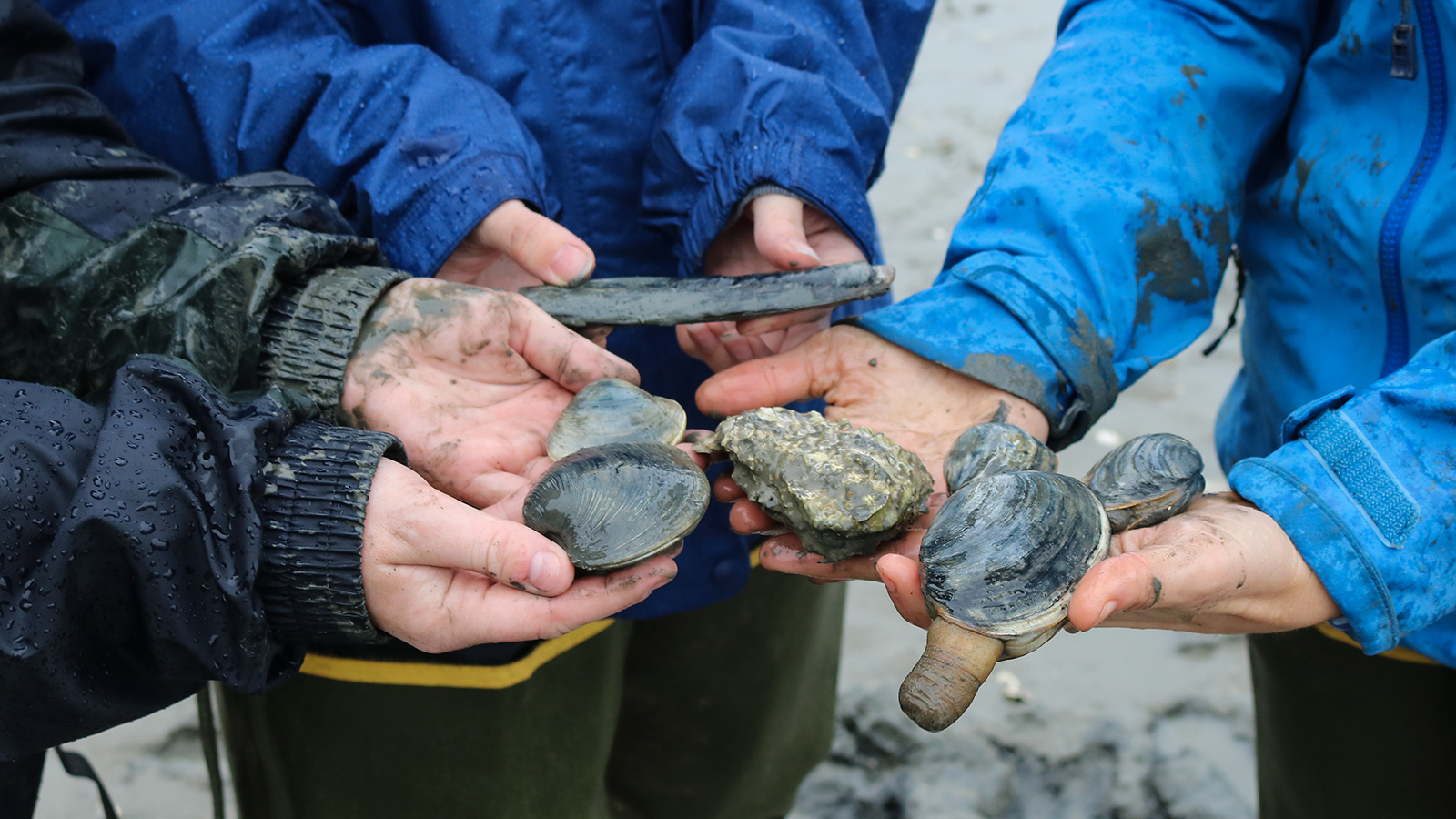 three people standing in a circle holding shellfish